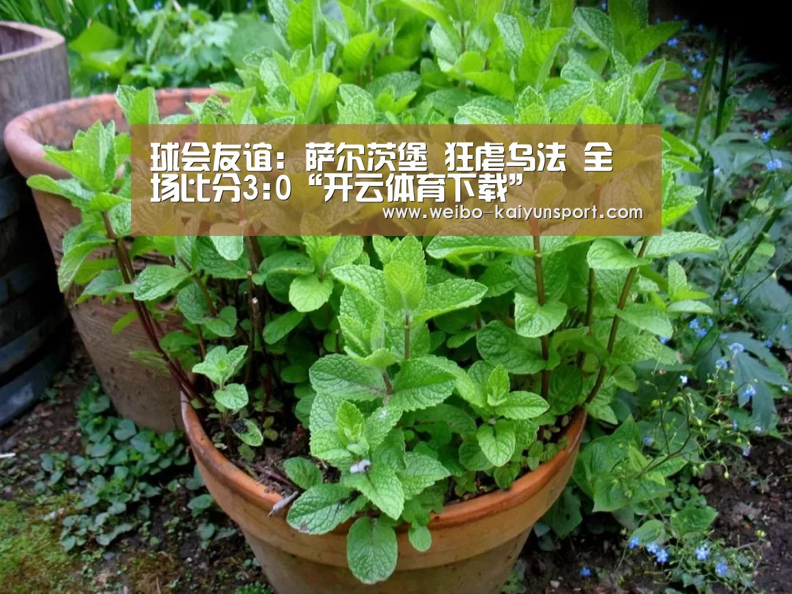 球会友谊: 萨尔茨堡 狂虐乌法 全场比分3:0“开云体育下载”(图1) 开云体育下载